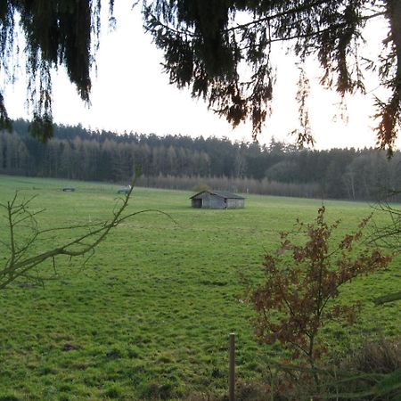Ferienwohnung Prior Bad Emstal Bagian luar foto