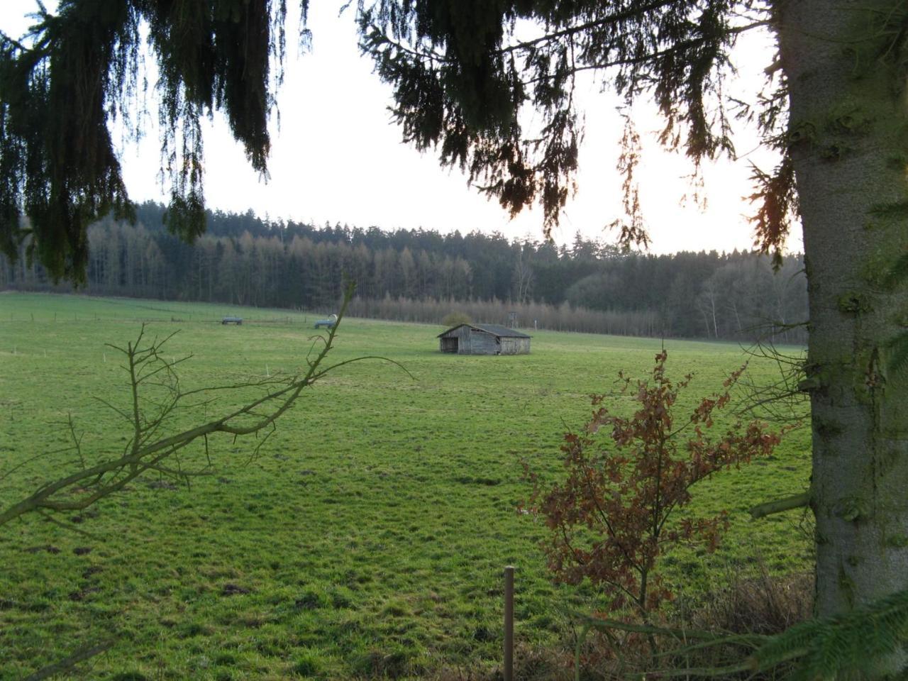 Ferienwohnung Prior Bad Emstal Bagian luar foto