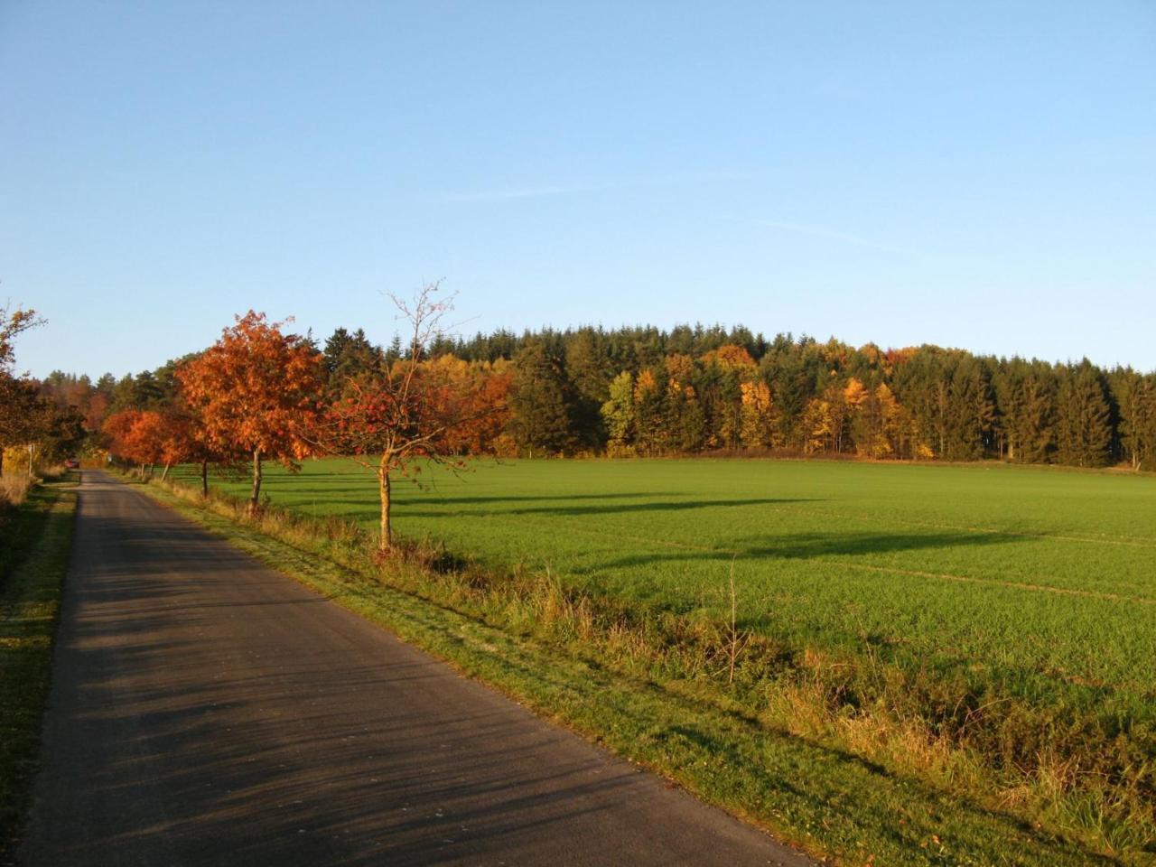 Ferienwohnung Prior Bad Emstal Bagian luar foto