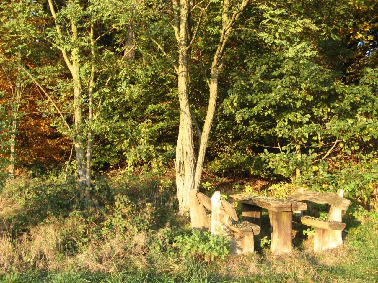 Ferienwohnung Prior Bad Emstal Bagian luar foto