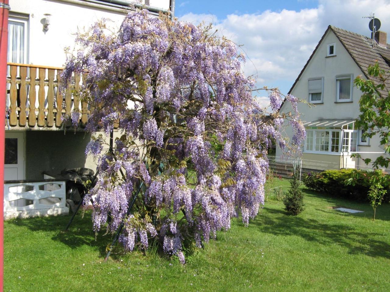 Ferienwohnung Prior Bad Emstal Bagian luar foto